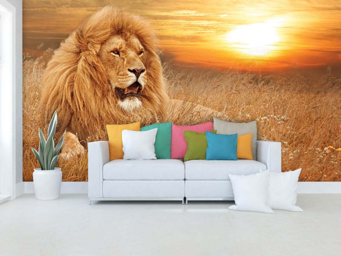 11 Fototapety zvířata